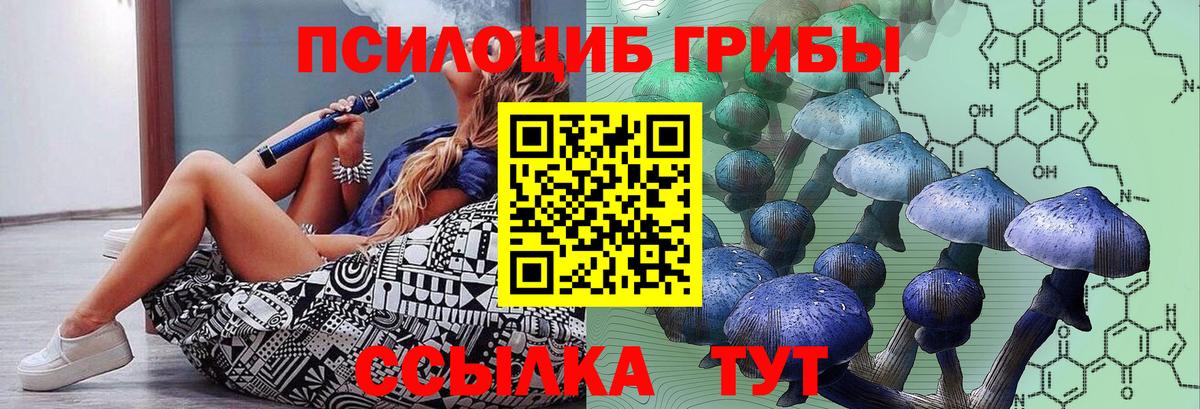 Псилоцибиновые грибы MAGIC MUSHROOMS Новоалтайск